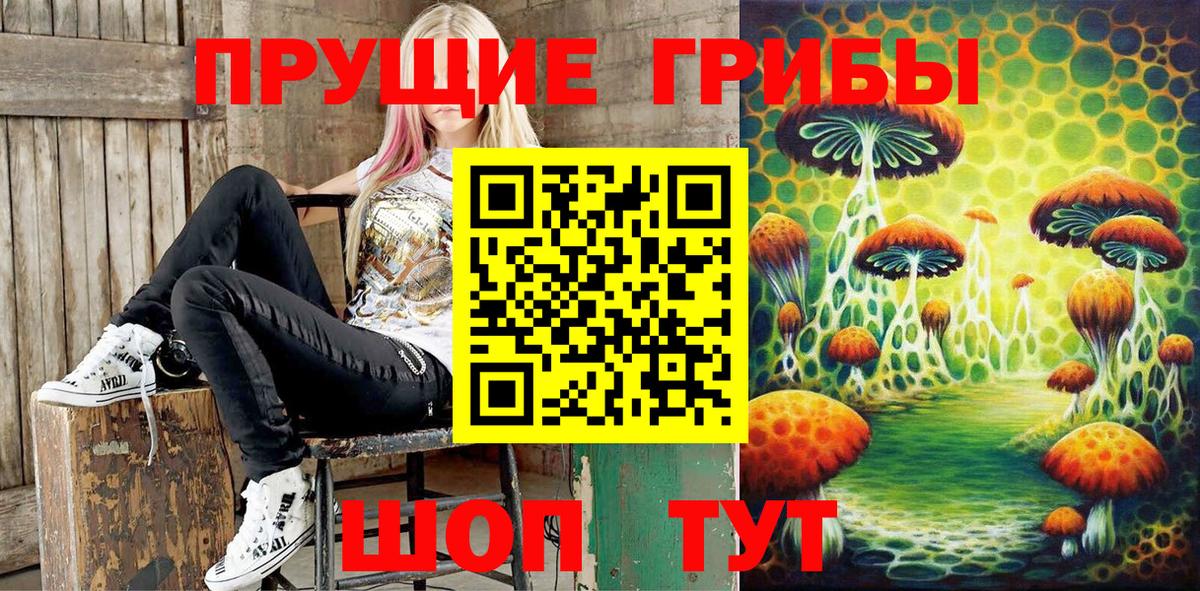 Псилоцибиновые грибы Psilocybe  Вход с VPN  Топки 